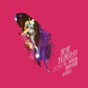 [我遇見你] 2015『飛』演唱會還原現場全曲目 Live