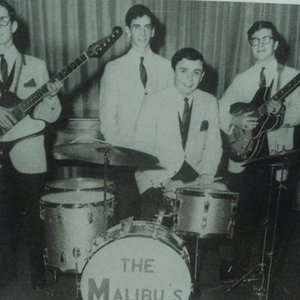 The Malibus için avatar