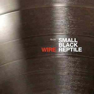 Small Black Reptile (10:20 Version)