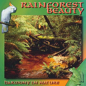 Rainforest Beauty