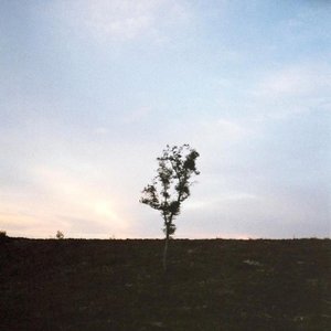 dein Garten Pt. 1 - Single