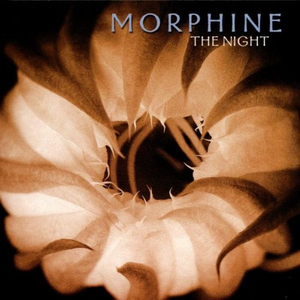 The Night cover