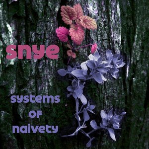 Image for 'Systems of Naivety EP'