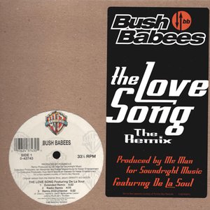 The Love Song (The Remix)