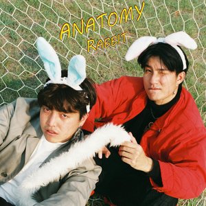 Anatomy Rabbit のアバター