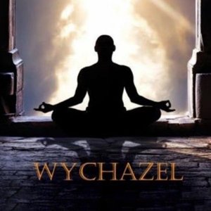 Avatar för Wychazel