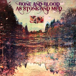 Bone and Blood as Stone and Mud