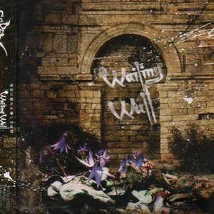 Wailing Wall＜初回盤＞