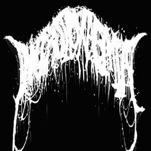 Necrotoxaemia 的头像