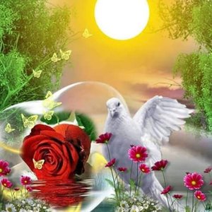 de ti✿ de mi✮⋆˙