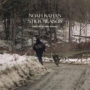 Stick Season (We'll All Be Here Forever) Deluxe Vinyl