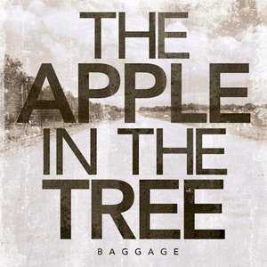 Baggage