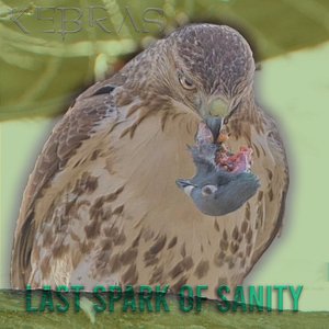 Last Spark of Sanity