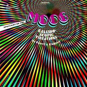 Kaleidoscopic Vibrations: Spotlight on the Moog