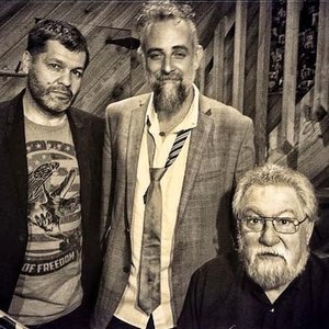 Mat Maneri, Evan Parker, Lucian Ban 的头像