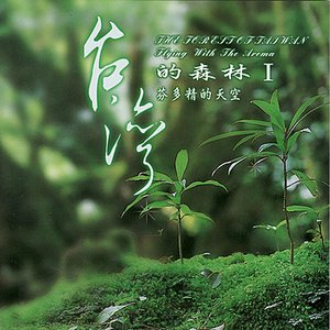 The Rain Forest Frog Sound