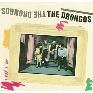 The Drongos