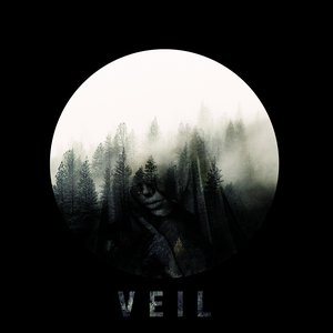 Veil - Single