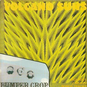 Bumper Crop