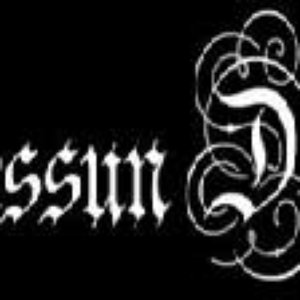 Nessun Dorma 的头像