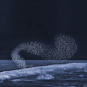 Avatar for Hornet Murmuration