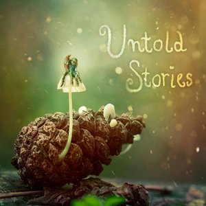 “Untold Stories”的封面