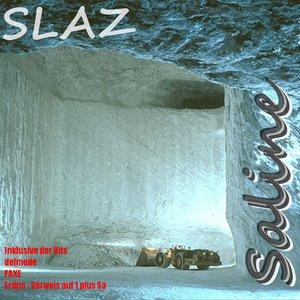 Slaz 的头像