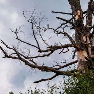 Can't Say Goodbye - Single