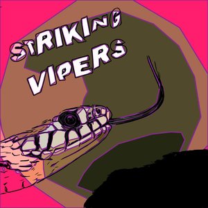 STRIKING VIPERS 的头像