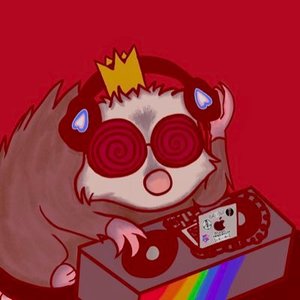 Avatar di HYPNOPOSSUM