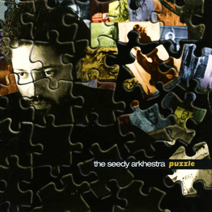 Puzzle cover
