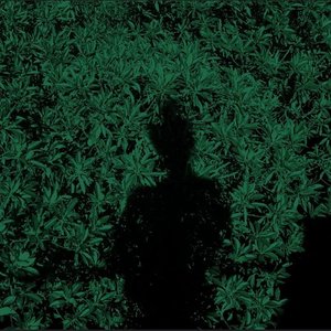 Sæbius 的头像