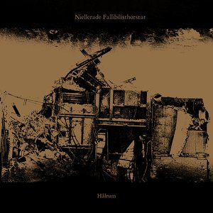 Hålrum
