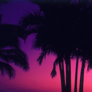 VII