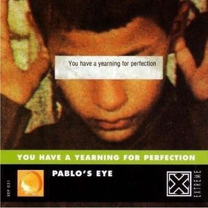 You Have A Yearning For Perfection (AMB & JACO Remixes)