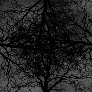 Intro cover