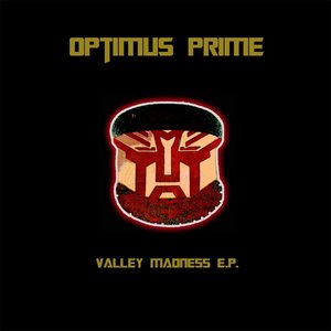 Valley Madness E.P.