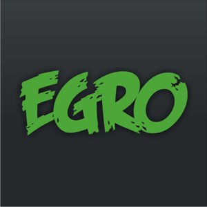 egro 的头像