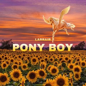 Pony Boy