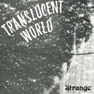 Translucent World