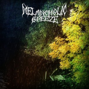 Melancholic Breeze 的头像