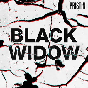 Image for 'Black Widow (Remix Ver.)'