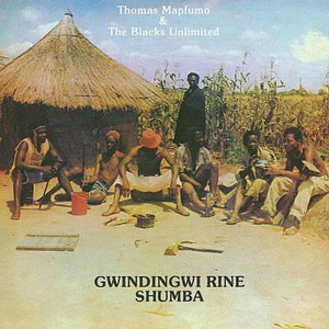 Gwindingwi Rine Shumba cover