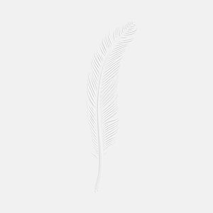 Feel [Explicit]