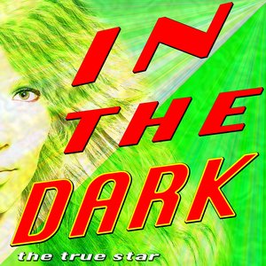 In The Dark (Tribute Dev)