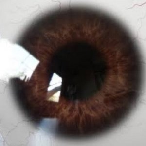死んだ眼球 的头像