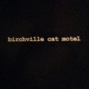 Birchville Cat Motel