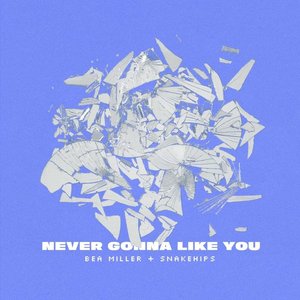 Bea Miller, Snakehips - NEVER GONNA LIKE YOU Lyrics - Zortam Music
