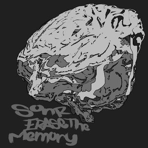 Erase the Memory