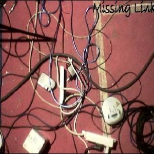 Image for 'Missing Link 4'